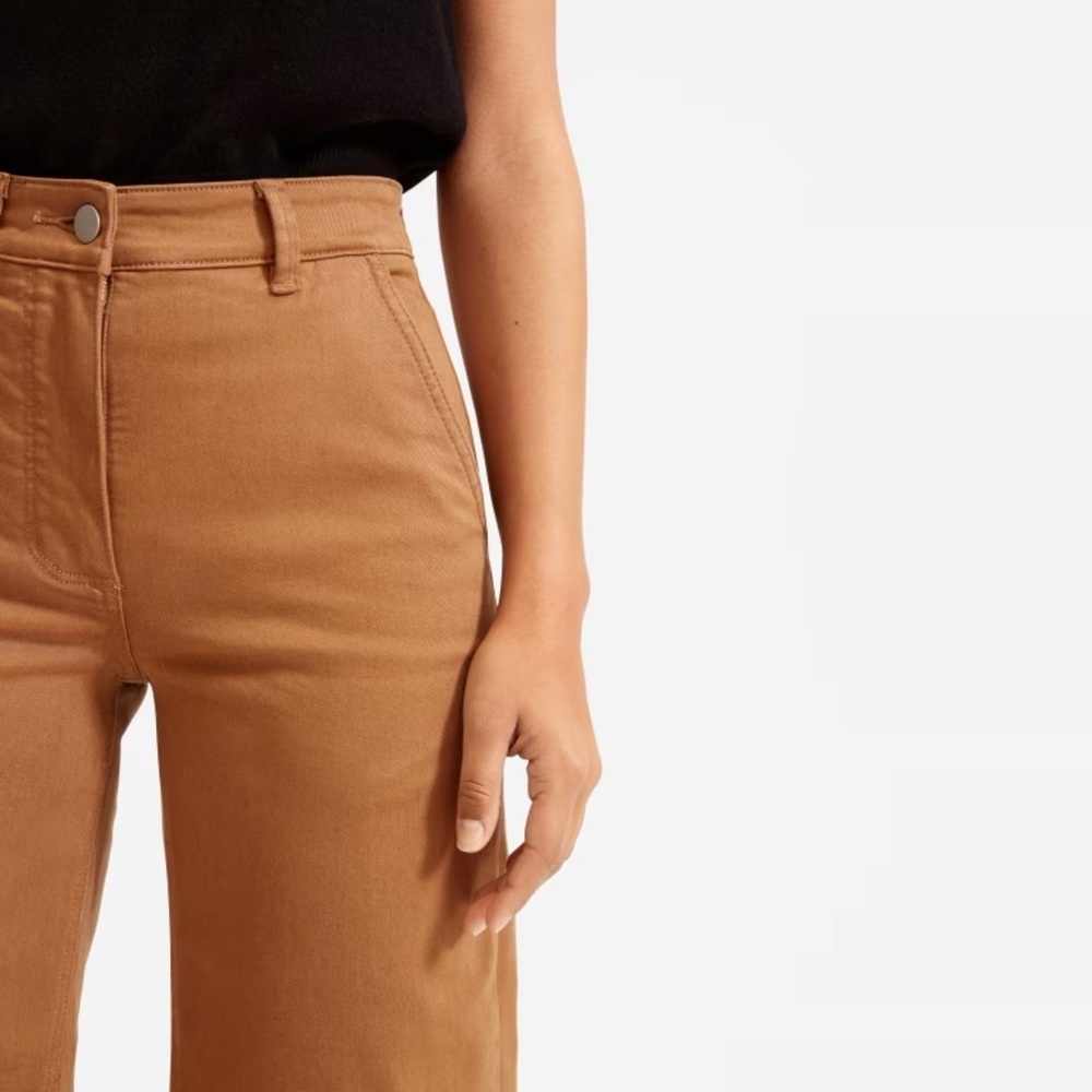Everlane Wide-Leg Crop Pant Short